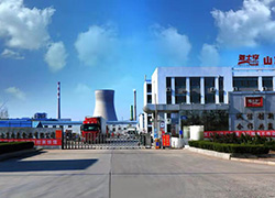 山東雅士享肉類食品有限公司